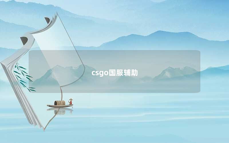 csgo国服辅助