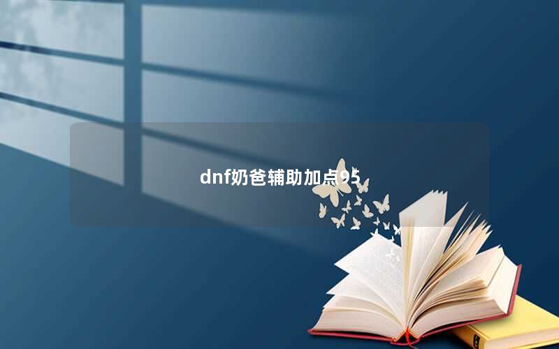 dnf奶爸辅助加点95